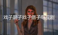 戲子廚子戲子痞子電視劇演員表（廚子戲子痞子演員表）