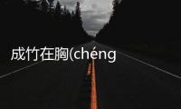 成竹在胸(chéng zhú zài xiōng)看看網友是怎么說的！