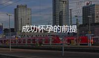 成功懷孕的前提