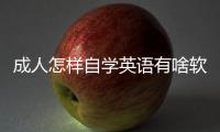 成人怎樣自學英語有啥軟件 成人怎樣自學英語