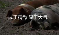 成于精微 顯于大氣