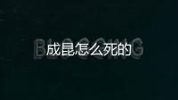 成昆怎么死的
