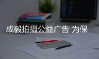 成毅拍攝公益廣告 為保護(hù)鯨鯊發(fā)聲