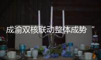 成渝雙核聯動整體成勢“五個共建”亮成績