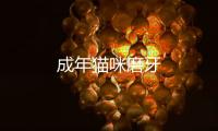 成年貓咪磨牙