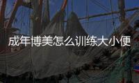 成年博美怎么訓(xùn)練大小便(成年博美每天睡多久)
