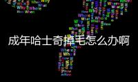 成年哈士奇掉毛怎么辦啊？哈士奇掉毛嚴(yán)不嚴(yán)重