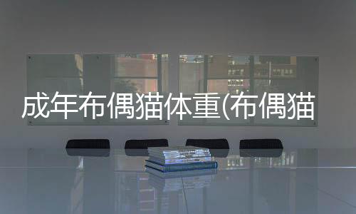 成年布偶貓體重(布偶貓體重年齡對照)