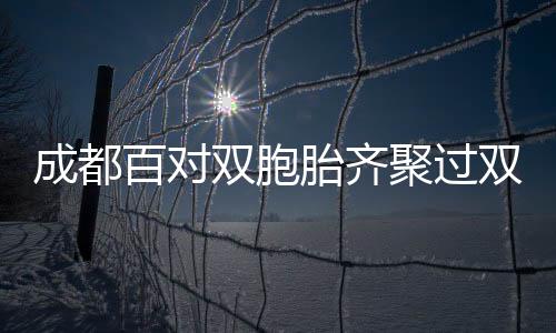 成都百對雙胞胎齊聚過雙胞胎節圖