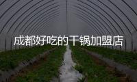 成都好吃的干鍋加盟店