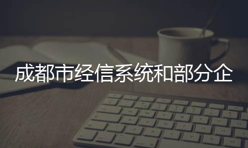 成都市經(jīng)信系統(tǒng)和部分企業(yè)代表調(diào)研廣域銘島