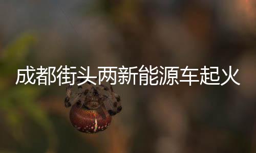 成都街頭兩新能源車起火目擊者稱賽力斯起火后引燃蔚來：客服回應