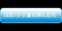 成都5歲女童被輾軋致死案將再次開庭 家屬出具諒解書