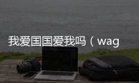 我愛國國愛我嗎（wagga）