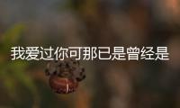 我愛過你可那已是曾經是什么歌（你可曾愛過我是什么歌）