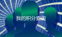 我的積分查詢