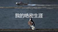 我的絕密生涯
