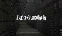 我的專屬喵喵