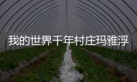 我的世界千年村莊瑪雅浮雕怎么獲得