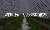 我的世界手機版本應該怎樣進入服務器 PE服務器教程