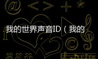 我的世界聲音ID（我的世界沒有聲音）