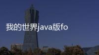 我的世界java版forge怎么安裝（forge怎么安裝）