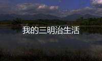 我的三明治生活