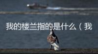我的樓蘭指的是什么（我的樓蘭是什么意思）