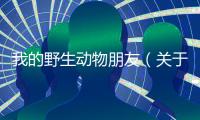 我的野生動物朋友（關于我的野生動物朋友的基本情況說明介紹）