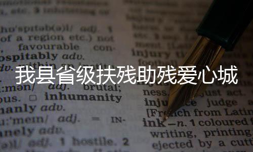 我縣省級扶殘助殘愛心城市創建迎來市預檢