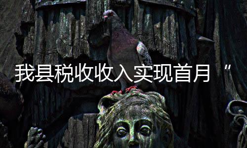 我縣稅收收入實現首月“開門紅”