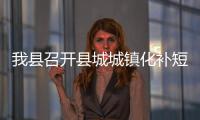 我縣召開縣城城鎮化補短板強弱項工作項目謀劃推進會