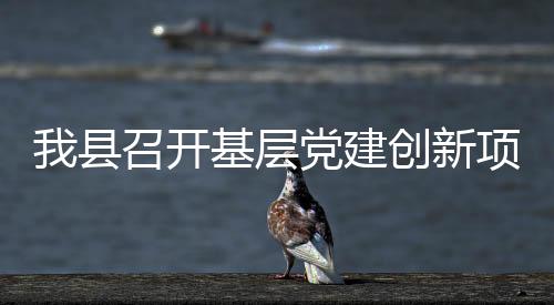 我縣召開基層黨建創新項目評議會
