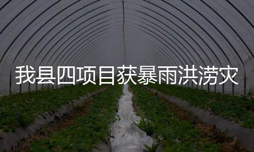 我縣四項目獲暴雨洪澇災害救災應急補助中央預算內投資1600萬元