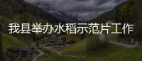 我縣舉辦水稻示范片工作推進會暨技術培訓會