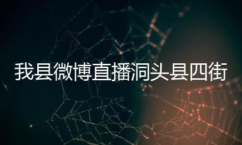 我縣微博直播洞頭縣四街道授牌授印儀式