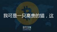 我可是一只高貴的貓，這樣過才能彰顯本喵的氣質！