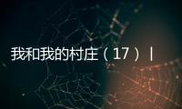 我和我的村莊（17）丨到河邊去，換楠木村“只此青綠”