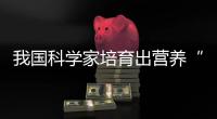 我國科學家培育出營養“加強版”水稻，有益心臟健康—新聞—科學網
