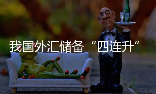我國(guó)外匯儲(chǔ)備“四連升” 環(huán)比增240億美元