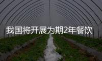 我國將開展為期2年餐飲消費環節安全整頓