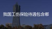 我國工傷保險待遇包含哪些內容的保險（我國工傷保險待遇包含哪些內容）