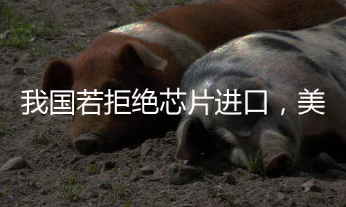 我國若拒絕芯片進口，美國損失有多重？