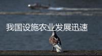 我國設施農業發展迅速 有效滿足市場“菜籃子”“果盤子”“花架子”需求