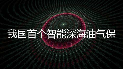 我國首個智能深海油氣保障倉儲中心在海南投用