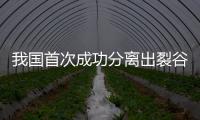 我國首次成功分離出裂谷熱病毒