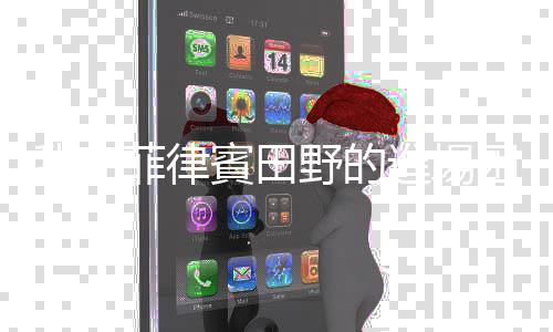我在菲律賓田野的進場困境與轉機：意外發現不同學科間的「田野互補性」