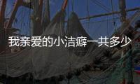 我親愛的小潔癖一共多少集