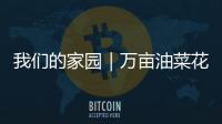 我們的家園｜萬畝油菜花盛開 鋪就美麗鄉村畫卷