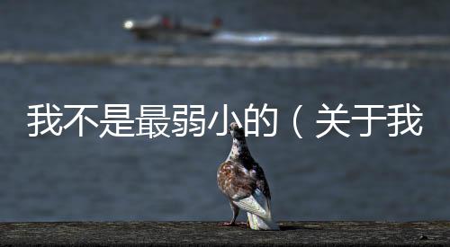 我不是最弱小的（關于我不是最弱小的的基本情況說明介紹）